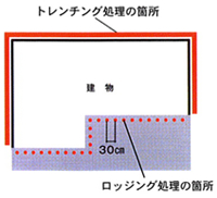 シロアリから建物を守る「アジェンダ施工」とは